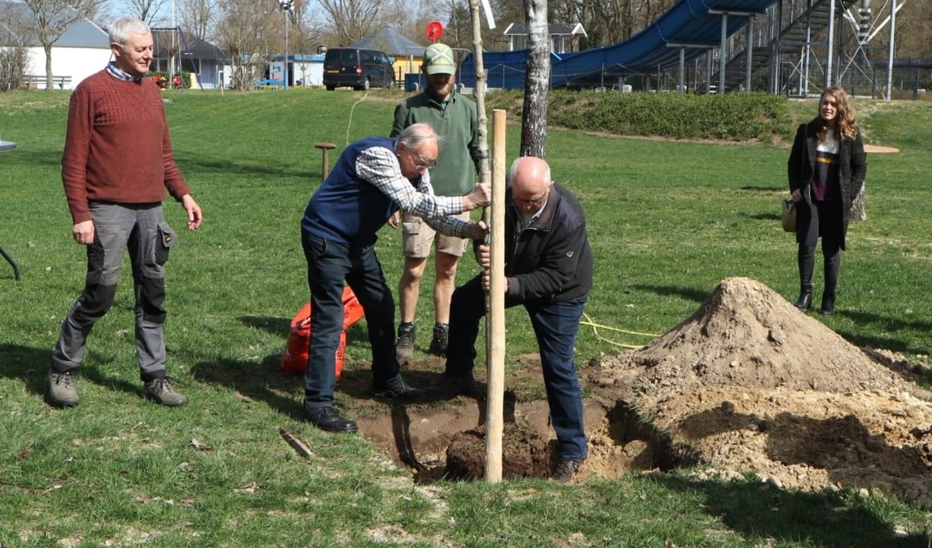Jan Langeler en Herman Eggink plaatsten de nieuwe boom op het terrein van het Leussinkbad. Foto: PR