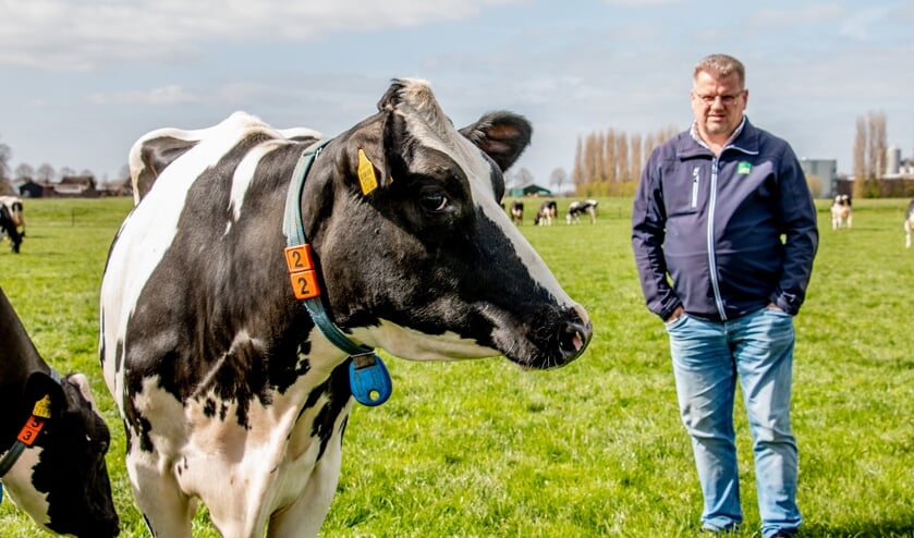 <p>Wim Boschloo kijkt vol bewondering beoordelend in de wei van broer Hans naar zijn favoriet, een zwartbonte koe. Foto: Liesbeth Spaansen</p>