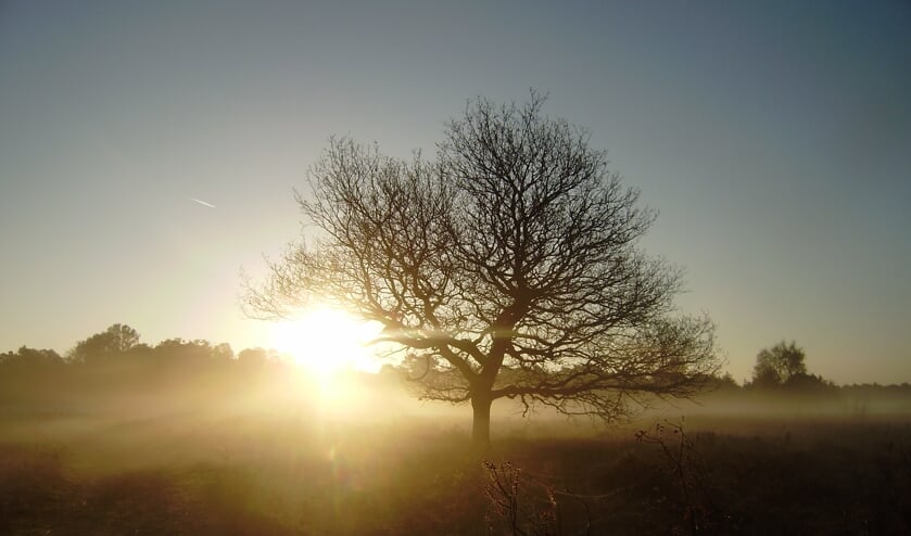 <p>Zonsopgang over de Gorsselse Heide. Alleen voor vroege vogels. Foto: PR</p>