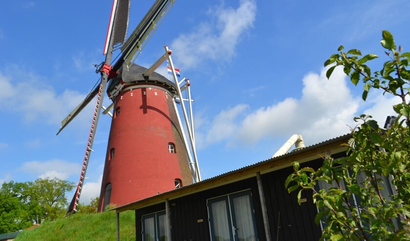 <p>De draaiende Wenninkmolen met zeilen. Foto: PR</p>
