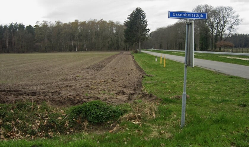 <p>De bloemenweide komt aan de Ossenbeltsdijk bij natuurgebied Grote Veld van Natuurmonumenten. Foto: Imar Doornbos</p>