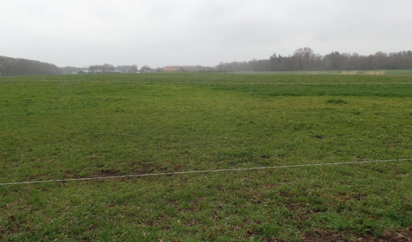 <p>Dit glooiende grasperceel aan de Schimmeldijk krijgt in de maanden mei en juni een geheel andere aanblik dankzij een buitenkunstproject. Foto: Jan Hendriksen</p>