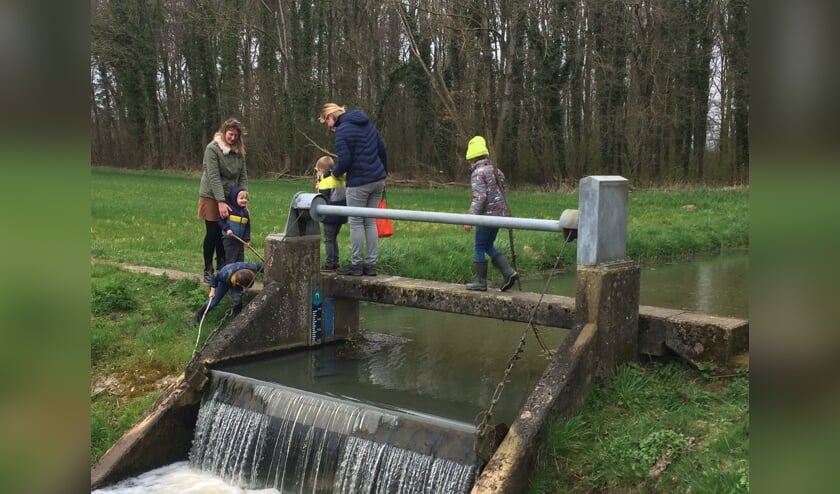 <p> Best spannend of het lukt, de oversteek met droge voeten, via de stuw in de Oosterwijkse Vloed. Foto: Arne Smeenk </p>