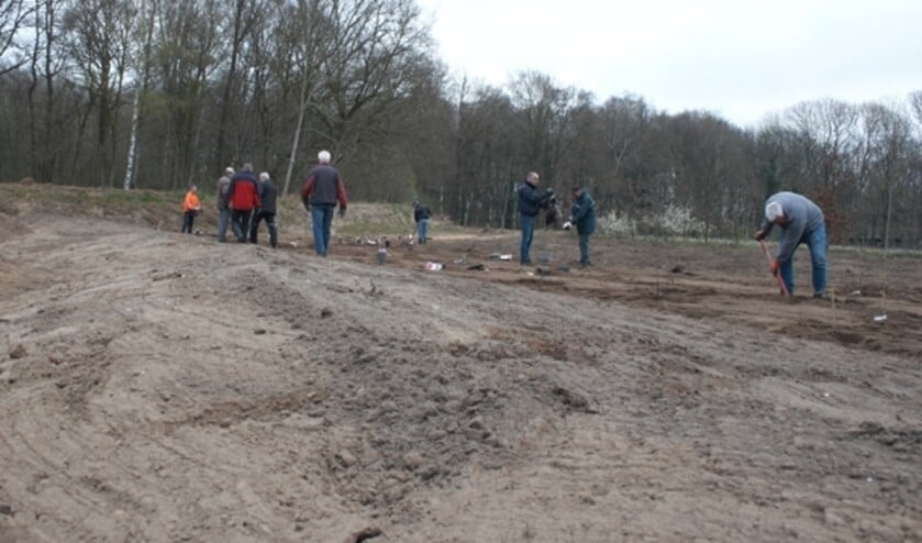 De vrijwilligers zijn de bomen aan het planten.
