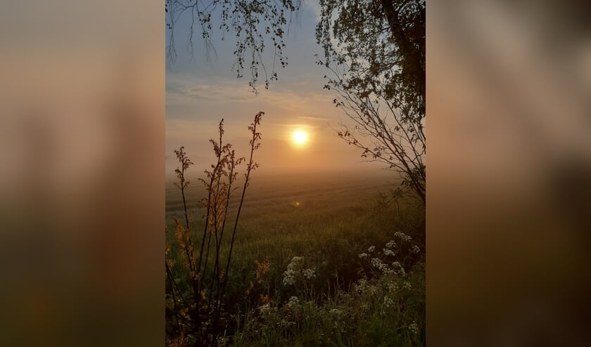 <p>De dauwloop, prachtig in beeld gebracht. Foto: Rhodie Tolkamp</p>