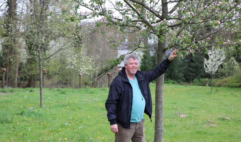 <p>Koos Kempers bij de Juttepeer, link het Sijden Hempje en rechts in bloei, de Kruidenierspeer. Foto: Arjen Dieperink</p>