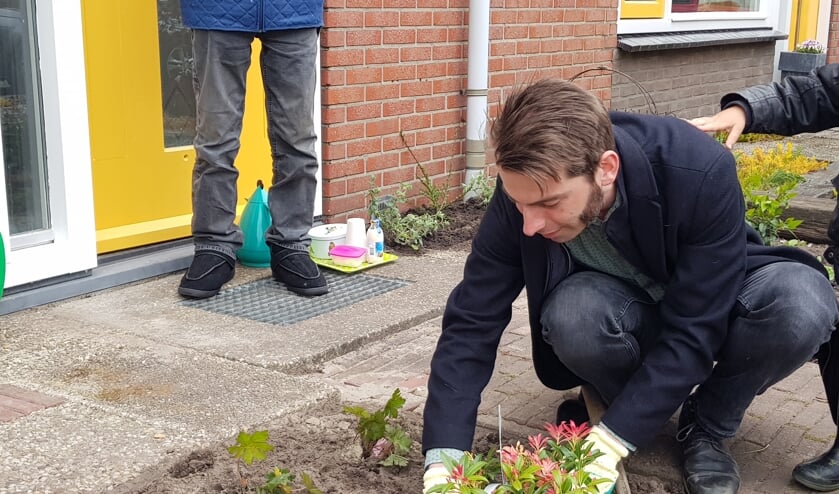 <p>Wethouder Paul Hofman zet een plant in de tuin, als officieel startsein voor het project Sociaal Groen. Foto: Present Bronckhorst</p>