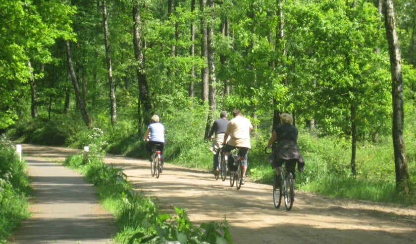 <p>Fietsen op de Hessenweg in Hummelo. Foto: Henk Wullink</p>