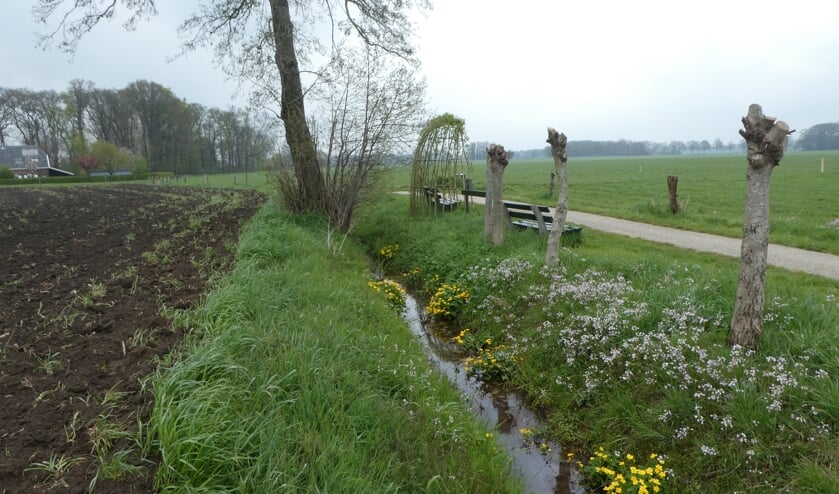 Fietsen over de kerkepaden. Foto: B. Bruggink