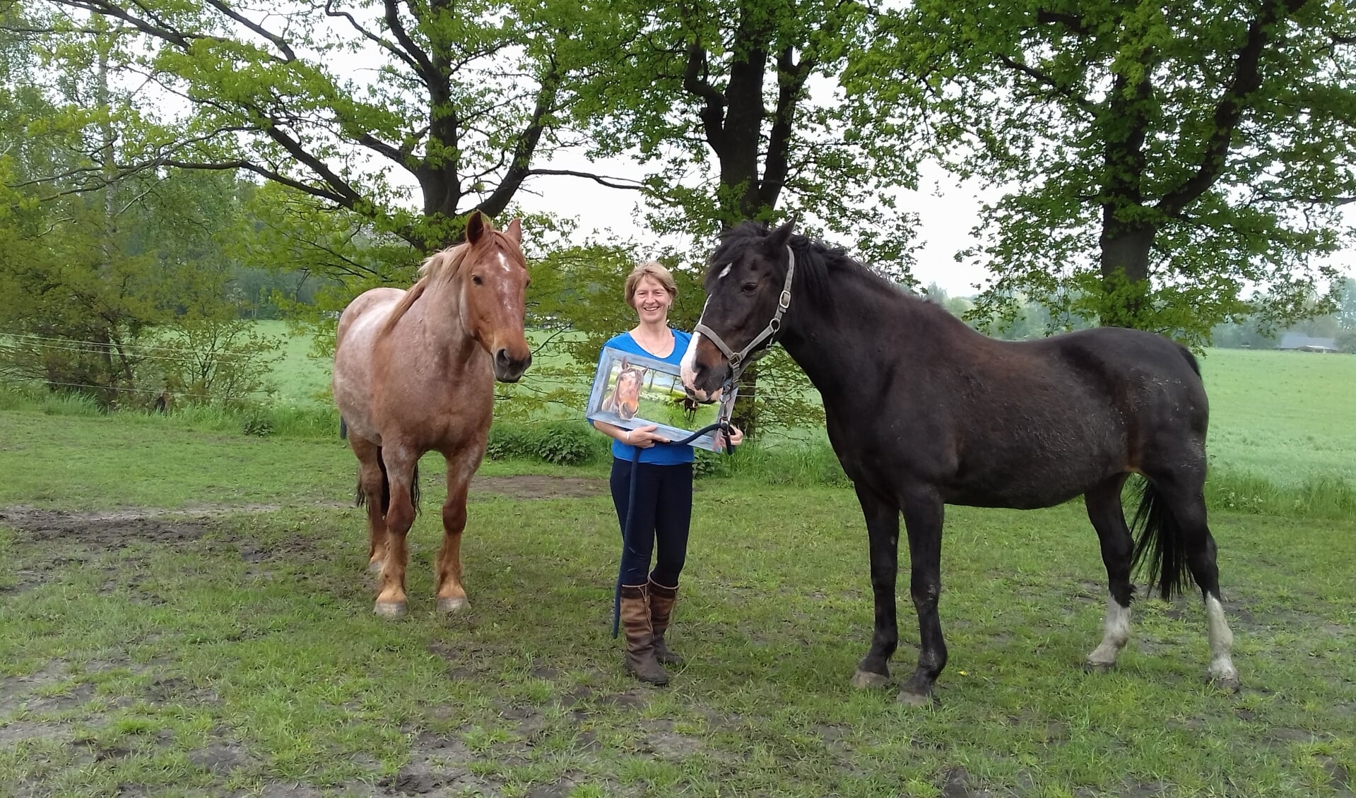 Rosalien Nales houdt een openluchtexpositie, tussen de paarden. Foto: PR