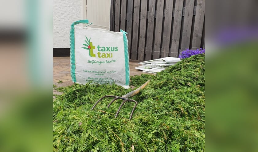 Taxussnoeisel met de Taxus Taxi Tas. Foto: PR