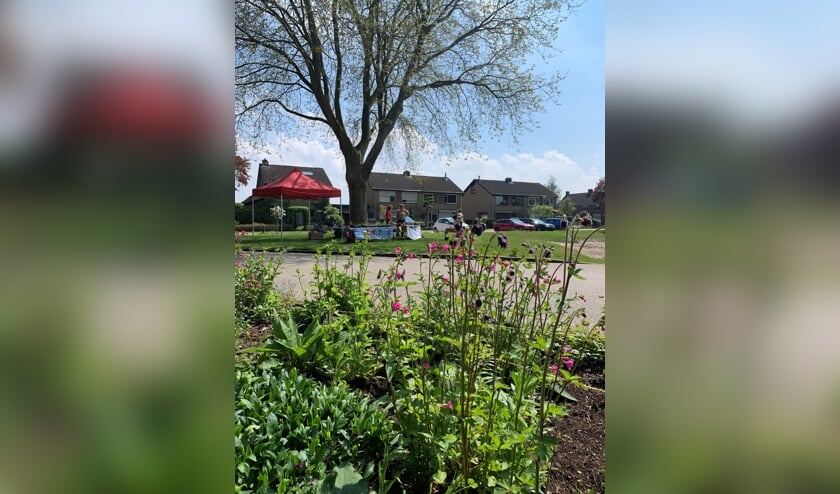 Succesvolle plantjesmarkt bij de Buurttuin aan de Prins Bernhardlaan in Steenderen. Foto: PR