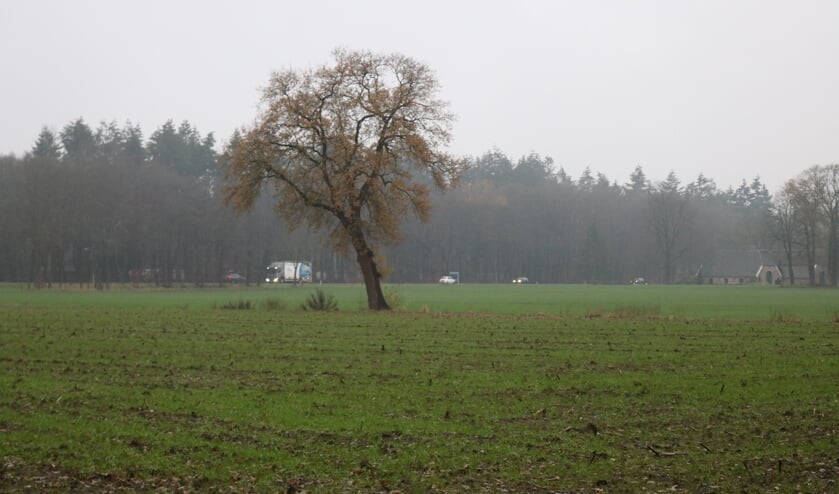 <p>De beoogde locatie in Klein Dochteren ging door felle protesten van de buurtbewoners niet door. Foto: Arjen Dieperink</p>