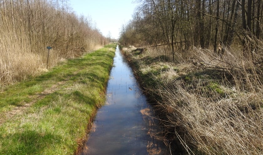 <p>De Hummelose Beek die je tegenkomt bij het natuurommetje rondom Camping Jena in Hummelo. Foto: PR</p>