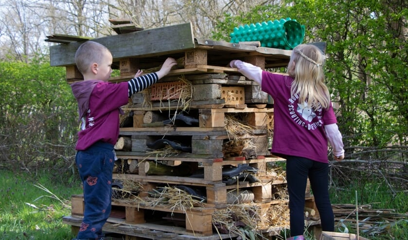 <p>Sieb (5) en Amélie (7) zijn bezig met de laatste verdieping van het insectenhotel. Foto: Esmy Smit</p>
