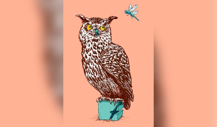 Illustratie: Marc Weikamp