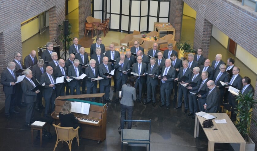 <p>Het Zelhems Mannenkoor. Foto: PR</p>