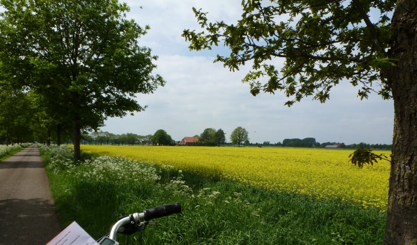 <p>Ook voor de maand juni heeft de VVV weer een mooie route beschikbaar. Foto: PR</p>