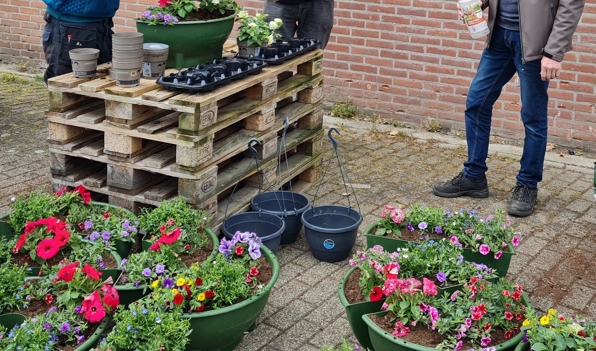 Initiatiefnemer Reint Beunk, vrijwilliger Hans Langeler en sponsor Dinant Bergsma zetten de bloemetjes buiten.
Foto Willy Hermans