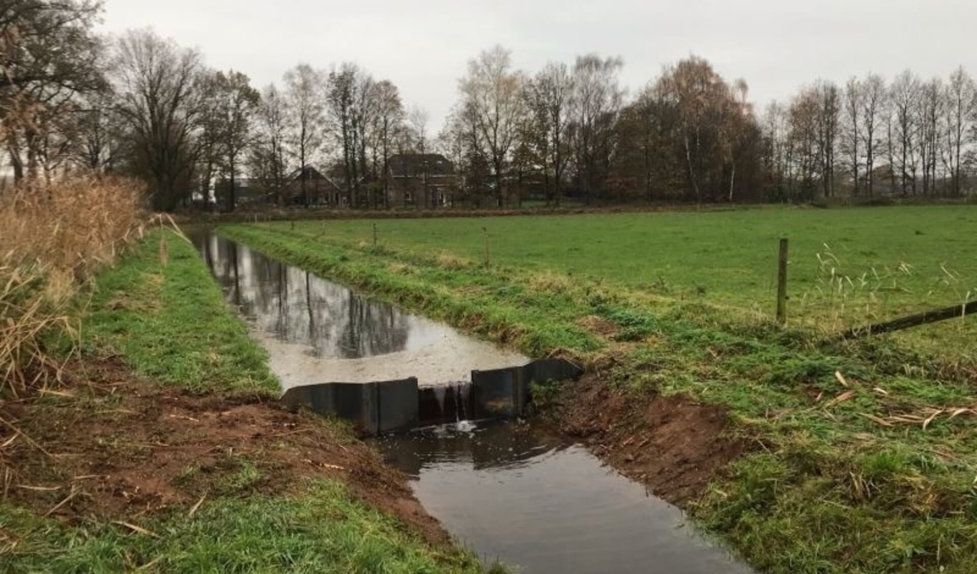 Om zoveel mogelijk water vast te houden, leggen boeren in samenwerking met Waterschap Rijn en IJssel stuwen aan. Hierdoor stroomt het water minder snel weg. Foto: PR