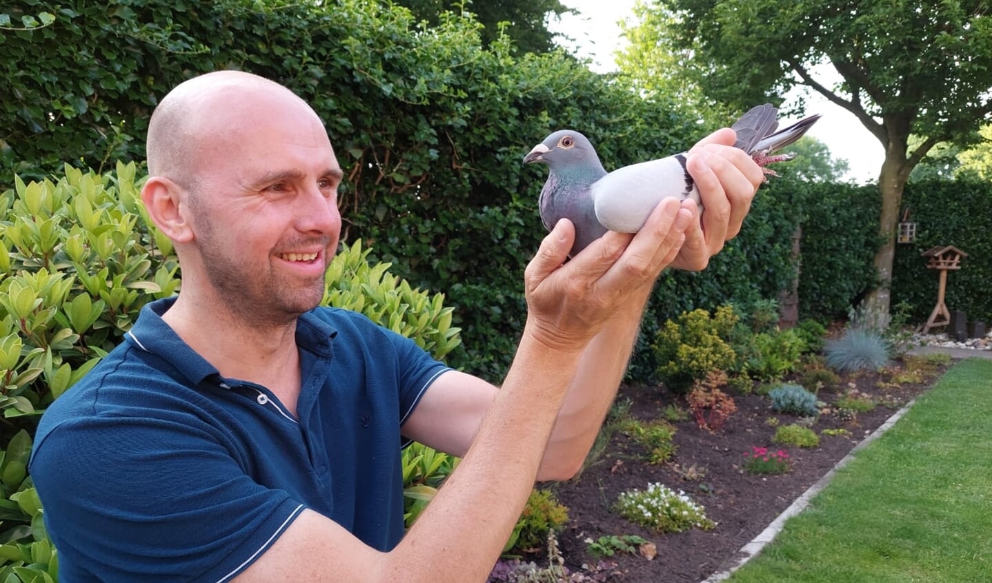 Sander Gemmink PV De Koerier Zelhem met zijn beste duif, de 18-085. Foto: Laury Visser
