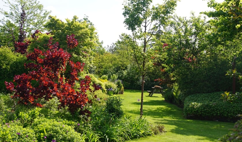 <p>De landschapstuin van 't Meihuus ligt er weer prachtig bij. Foto: PR</p>