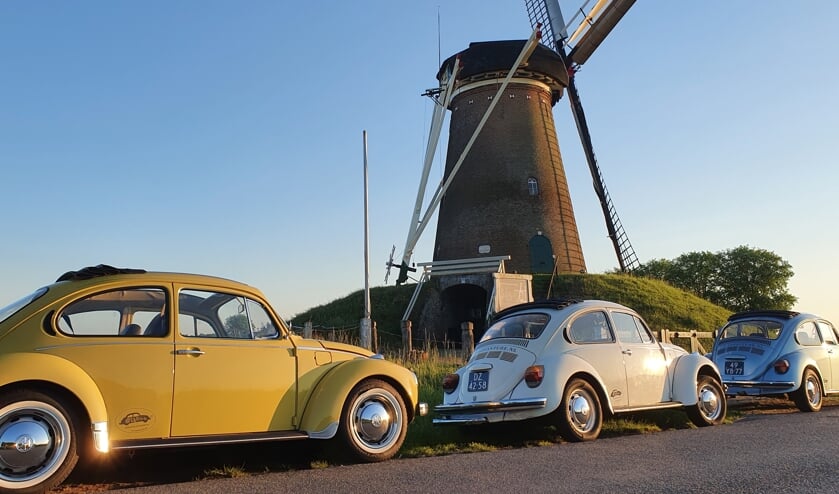 De VW Kevers trekken volop de aandacht in het Achterhoekse landschap.