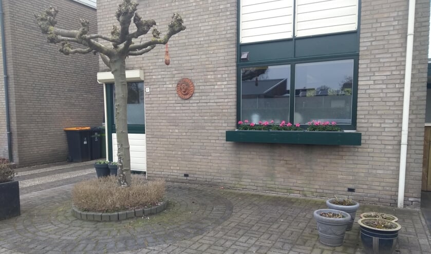 <p>De straten in Borculo en Ruurlo komen in aanmerking komen voor ‘Tuintegel eruit, plant erin!’, met als doel vergroening van de voortuinen. Foto: PR. </p>