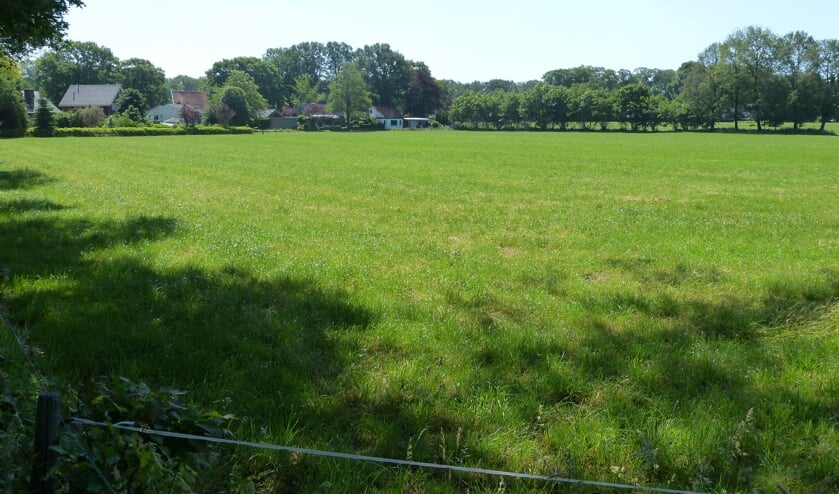 Het weiland waarin de woningen zullen worden gebouwd. Foto: Bernhard Harfsterkamp