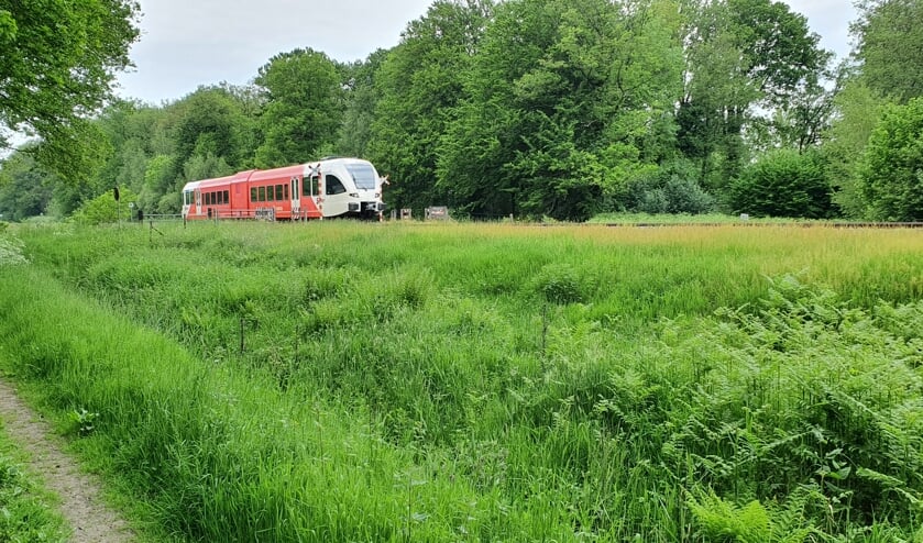 Trein passeert NABO Loorsteeg Ruurlo. Foto: Rob Weeber