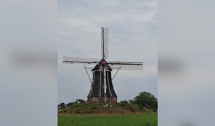 Afbeelding