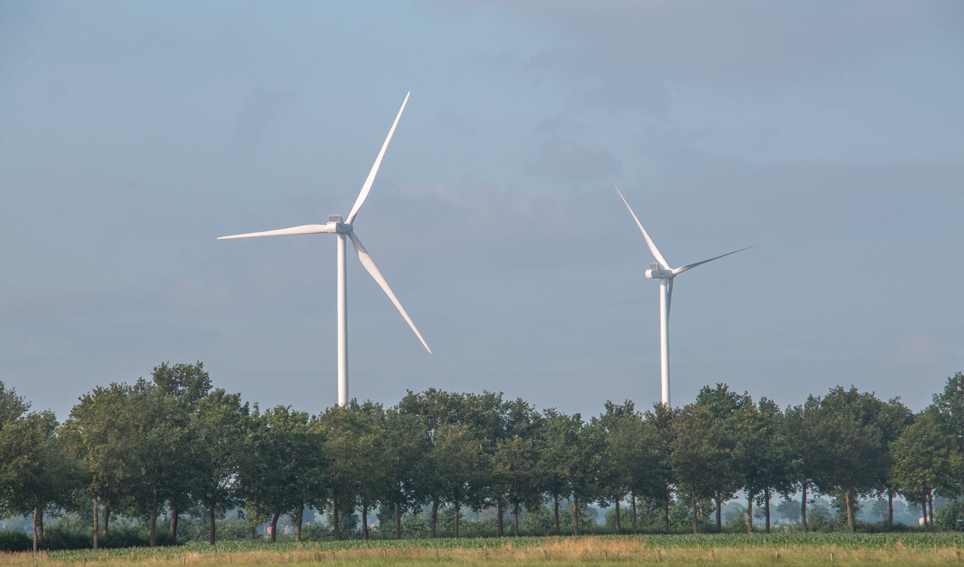 Energie opwekken in de Achterhoek gebeurt onder meer met windmolens. Foto: Liesbeth Spaansen