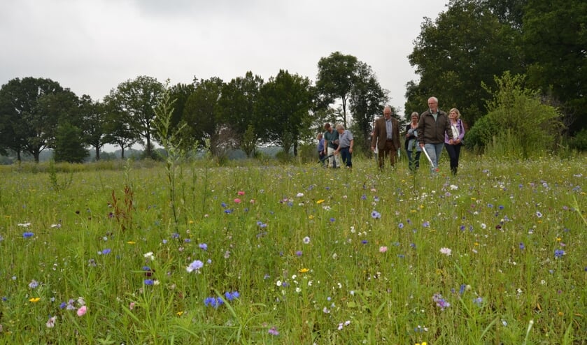 Een veelvoud aan bloemen, verschillende soorten, goed voor de biodiversiteit. Foto: Karin Stronks