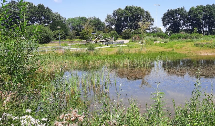 <p>De wadi op De Vossenburcht blijft behouden. In het park komen 18 woningen en 4 tiny houses.</p>
