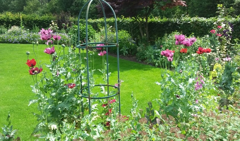 <p>De tuin van Jopie en Joke Tankink in Hummelo heeft een fraaie border met vaste planten. Eigen foto</p>