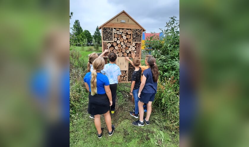 Het insectenhotel van groep 8 van de Kolibrie