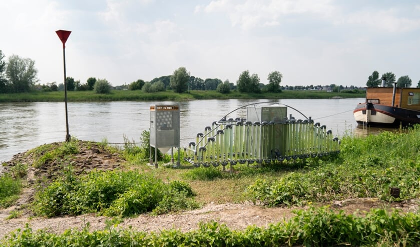 <p>Werk van Dora Kotsi-Felici voor IJsselbiënnale. Zutphen. Foto: Gerlinde Schrijver</p>
