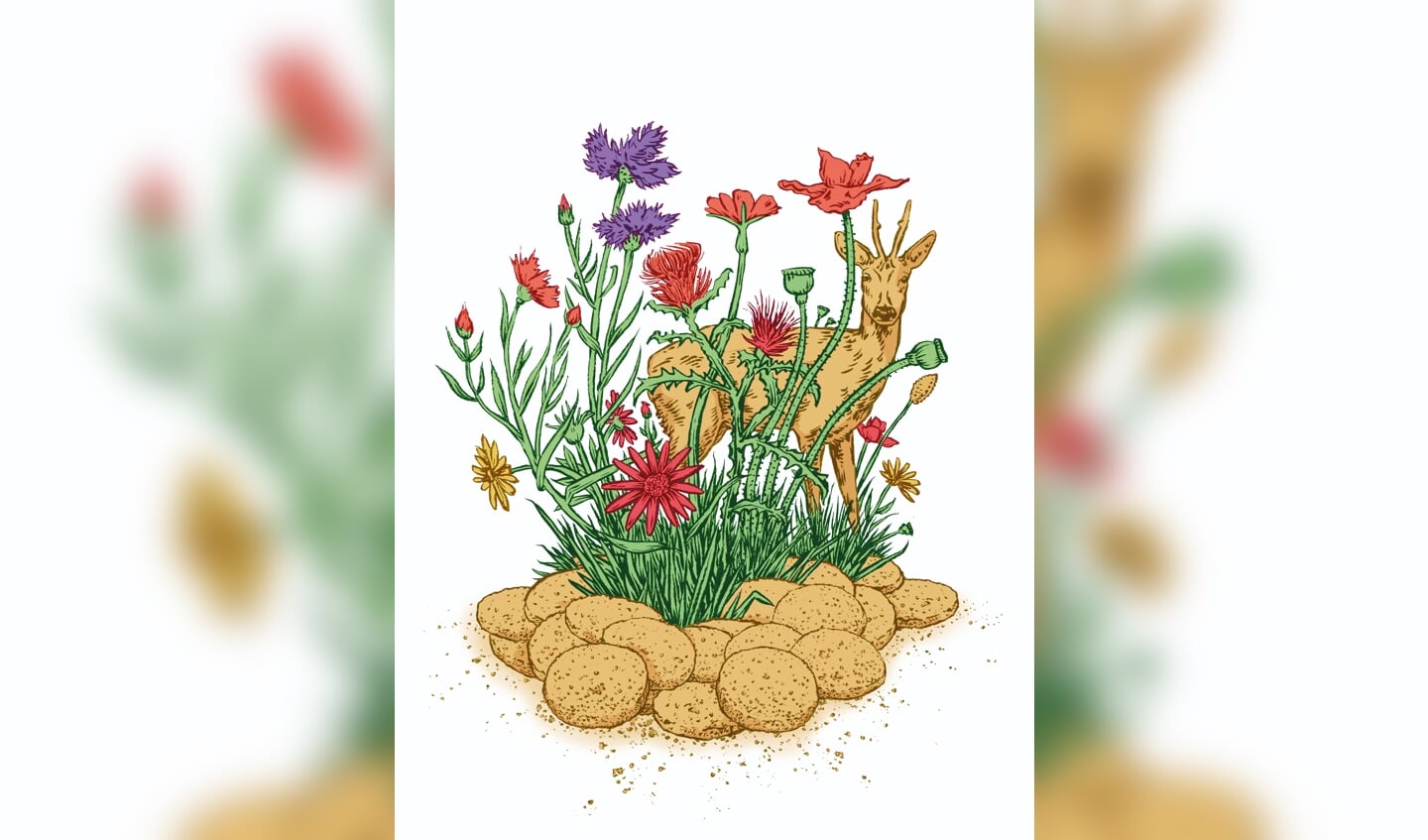 Illustratie: Marc Weikamp