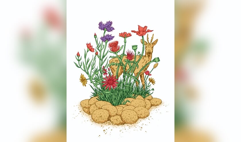 Illustratie: Marc Weikamp