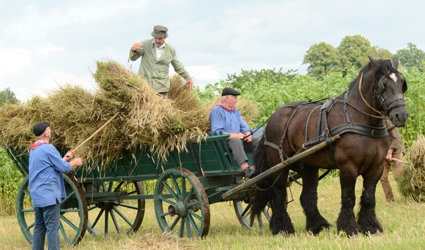 <p>Oogstdag bij Recreatie- en Kinderboerderij Feltsigt. Foto: Archief Achterhoekfoto.nl/Paul Harmelink</p>