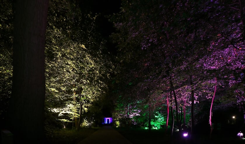 <p>Speciaal evenement 'Lichtpuntjes' voor ouderen en mensen met een beperking. Foto: PR</p>
