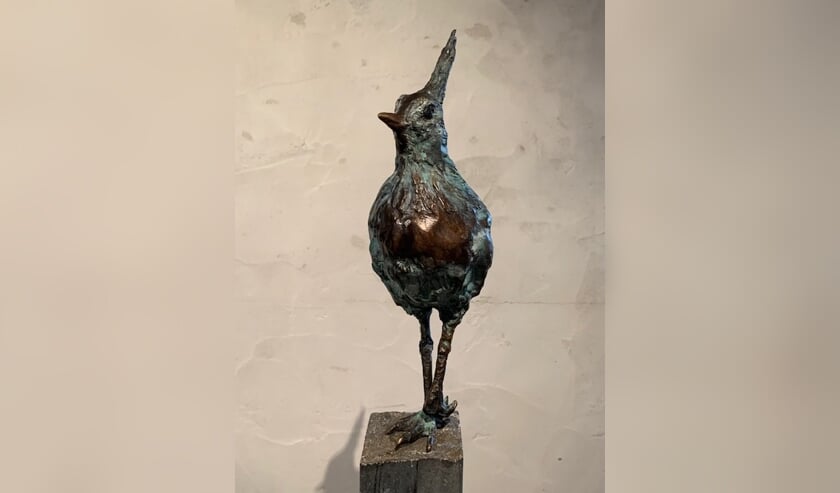 <p>De kievit van Mariëtte Schouten. Foto: PR</p>