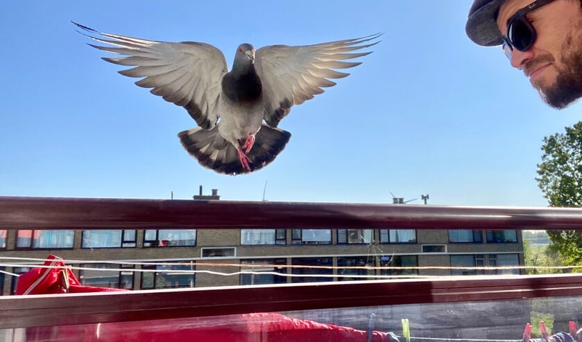 <p>Jasper Doest en duif Ollie. Foto: eigen foto.</p>