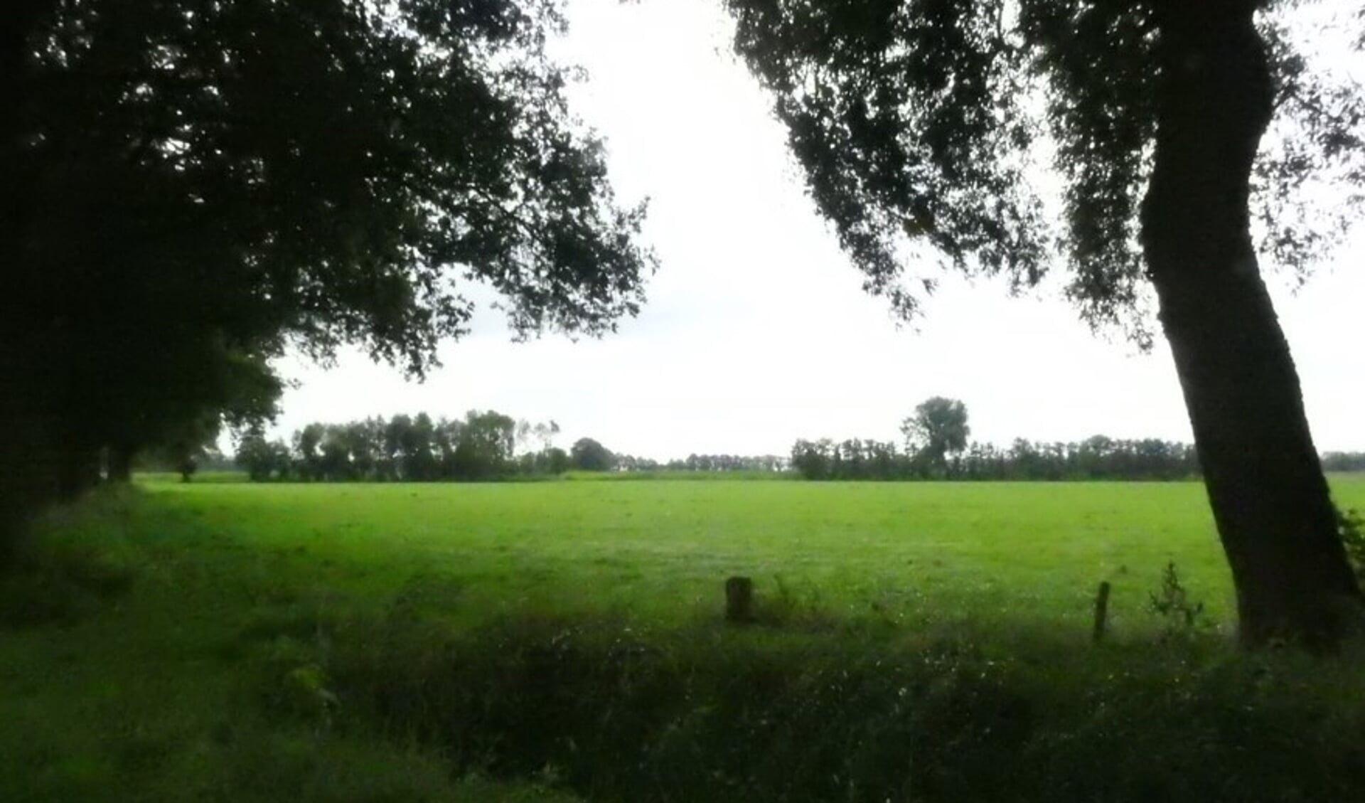 Het landelijke gebied in 't Ruurlose Broek dat is aangewezen als ‘Zoekgebied K’ voor plaatsing van windmolens. Foto: PR