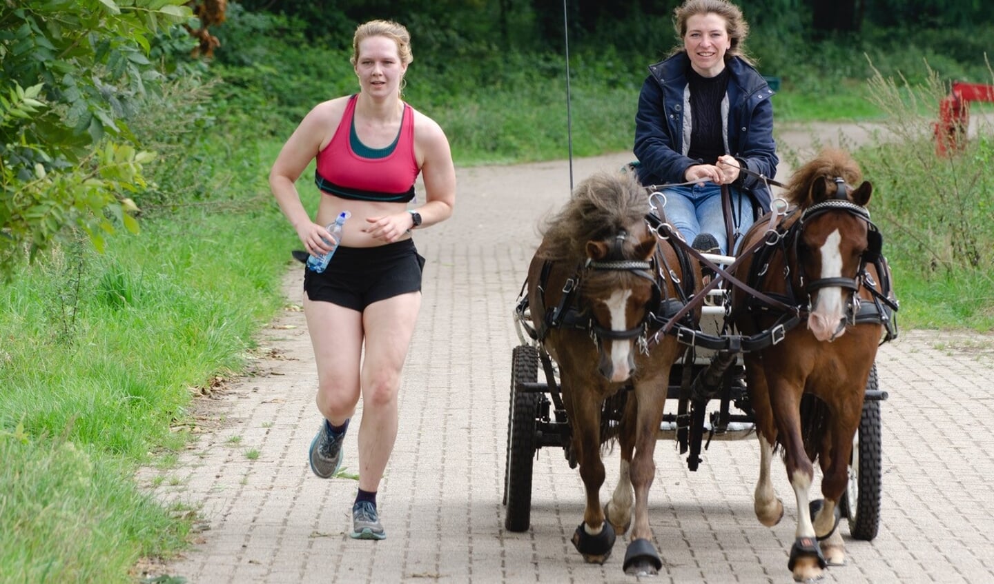 Tweespan Pony's: Margot Broeze met een vriendin (Winterswijk)


Foto: Gerben Olthof
