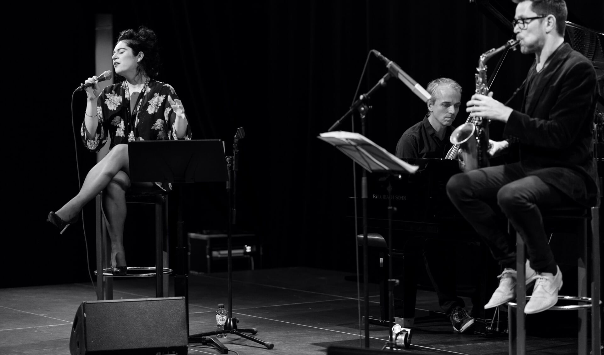 Zangeres Esther van Hees, pianist Jeroen van Vliet en saxofonist Miguel Boelens. Foto: PR 