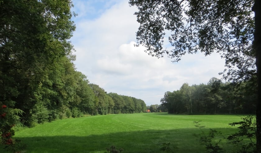 Het Vlaskampsveld, een van de percelen waarop gekampeerd moet worden. Foto: Bernhard Harfsterkamp