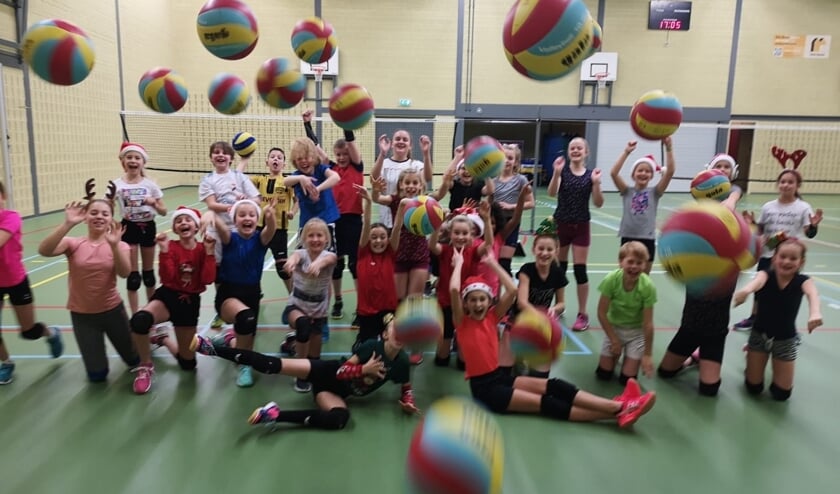 <p>Cool Moves Volley bij DIOS. Foto: PR</p>
