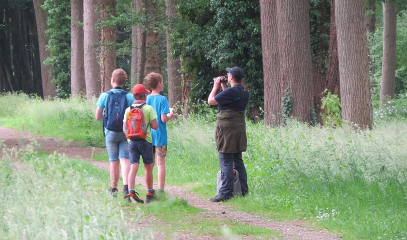 Op zoek naar vogels in het bos. Foto: Ellen Hochstenbach