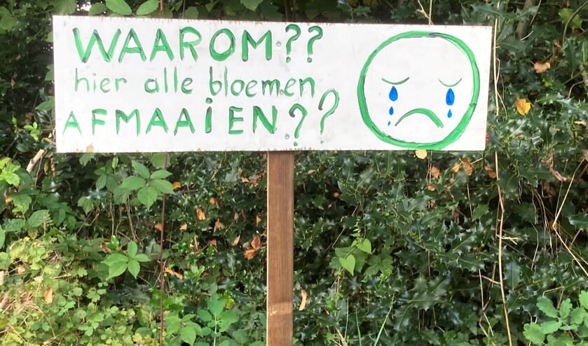 <p>Gerda Wisselink is verdrietig om het maaien van haar bloemenberm. Foto: Mirjam Rensink</p>